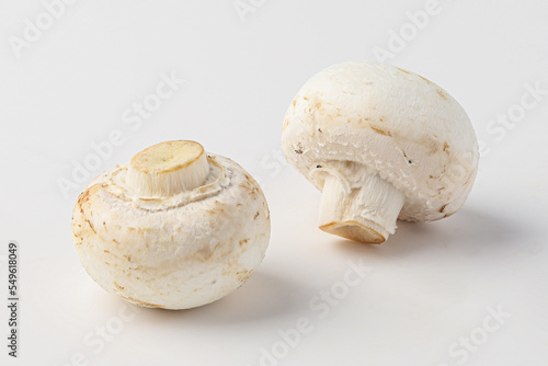 mushroom, toadstool, white mushroom, button mushroom isolated on white background