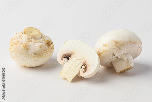 mushroom, toadstool, white mushroom, button mushroom isolated on white background