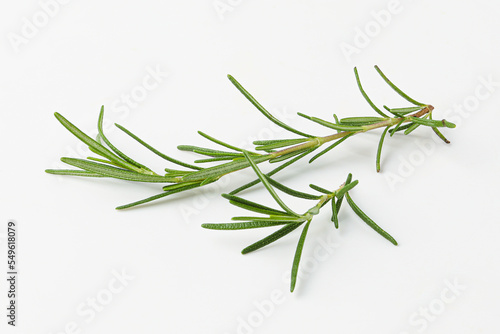 rosemary, rosemary leaf, herb, herb leaf isolated on white background