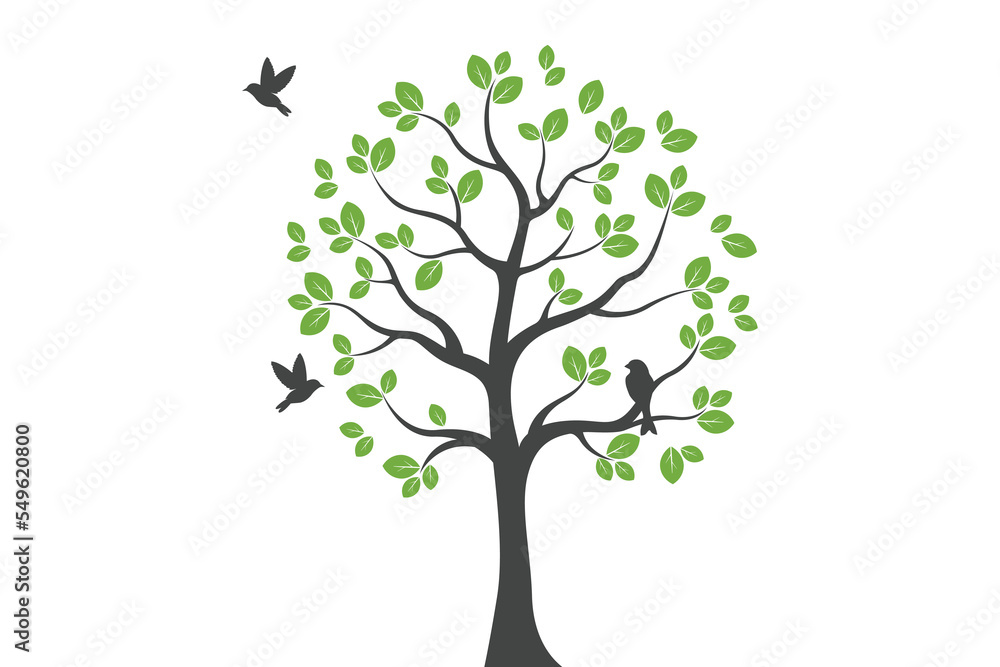 Tree Wall decoration Concept. Bird on branch wall decoration sticker design vector illustration Tree Wall decoration Concept. Bird on branch wall decoration sticker design vector illustration