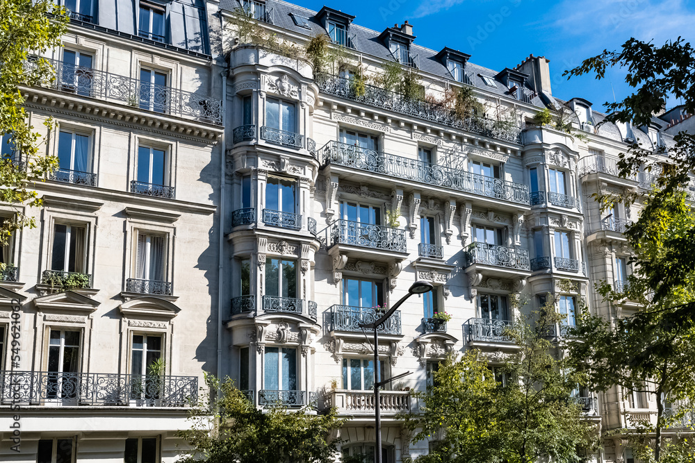 Fototapeta premium Paris, ancient buildings avenue Daumesnil, typical facades and windows 