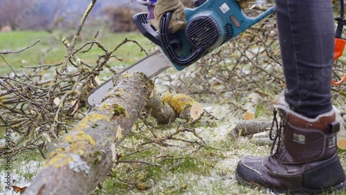 Spring chores of cleaning garden - sawing Apple tree trunk with chainsaw photo