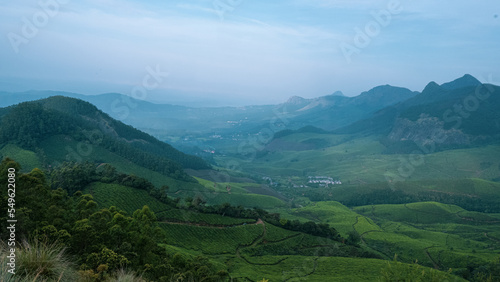Fototapeta Naklejka Na Ścianę i Meble -  Landscape of Munnar, Kerala, India