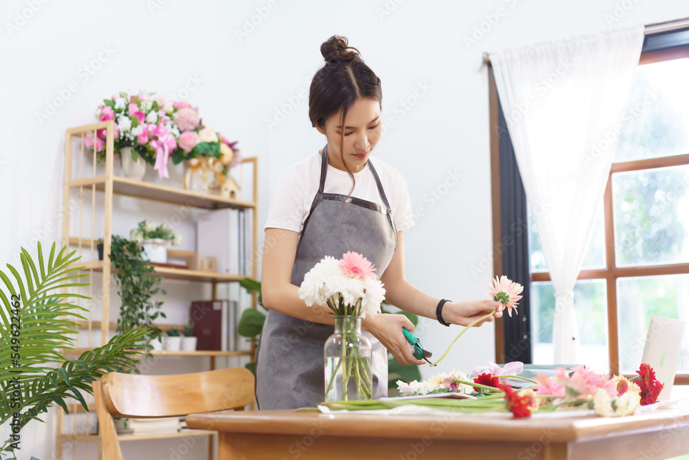 Flower shop concept, Female florist trim stems of pink gerbera by scissor for arranging in vase Flower shop concept, Female florist trim stems of pink gerbera by scissor for arranging in vase
