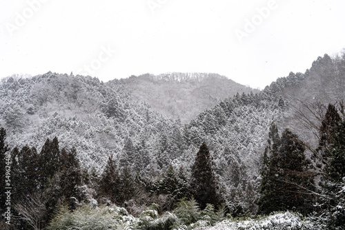 雪景色　積雪　山　自然