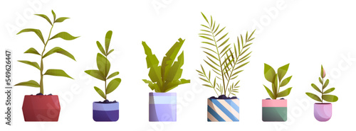 Home and office plants in flowerpots. Set of potted domestic tropical decorative palms, houseplants in ceramic pots interior decor isolated graphic design elements Cartoon vector illustration