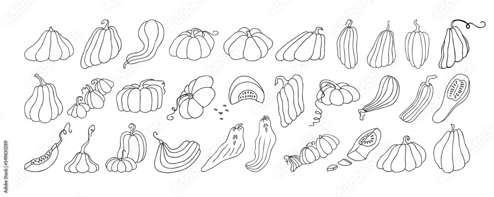 Autumn design template, hand drawn pumpkins, flat vector illustration Autumn design template, hand drawn pumpkins, flat vector illustration