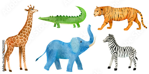 African animals watercolor isolated on white background. Giraffe  elephant  tiger  alligator and zebra. Hand drawn illustration  can be used for kid posters or cards.