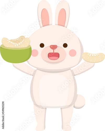 Cute rabbit mascot character with pomelo  celebrating mid-autumn festival