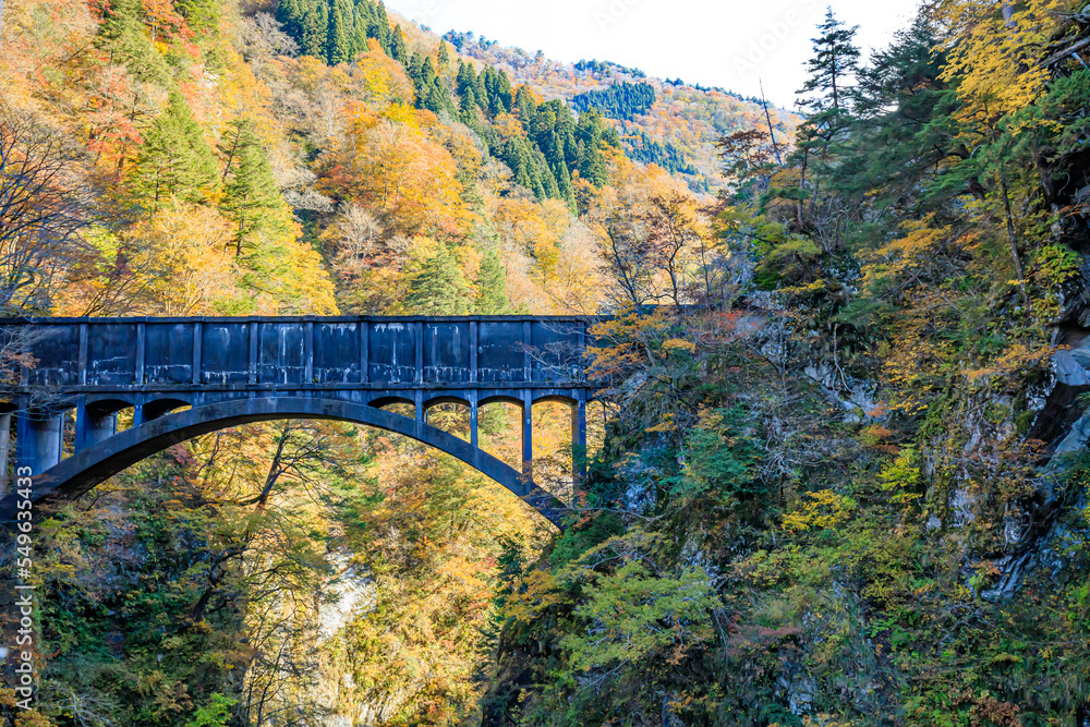 秋の黒部峡谷　水路橋　富山県黒部市　Kurobe Gorge in Autumn. aqueduct. Toyama Prefecture Kurobe city.