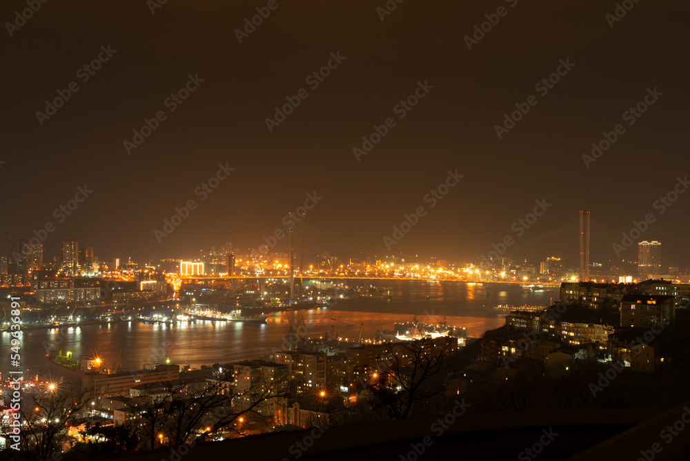 Night city view with night sky, bridge and bay with selective focus. Travel, city life concept