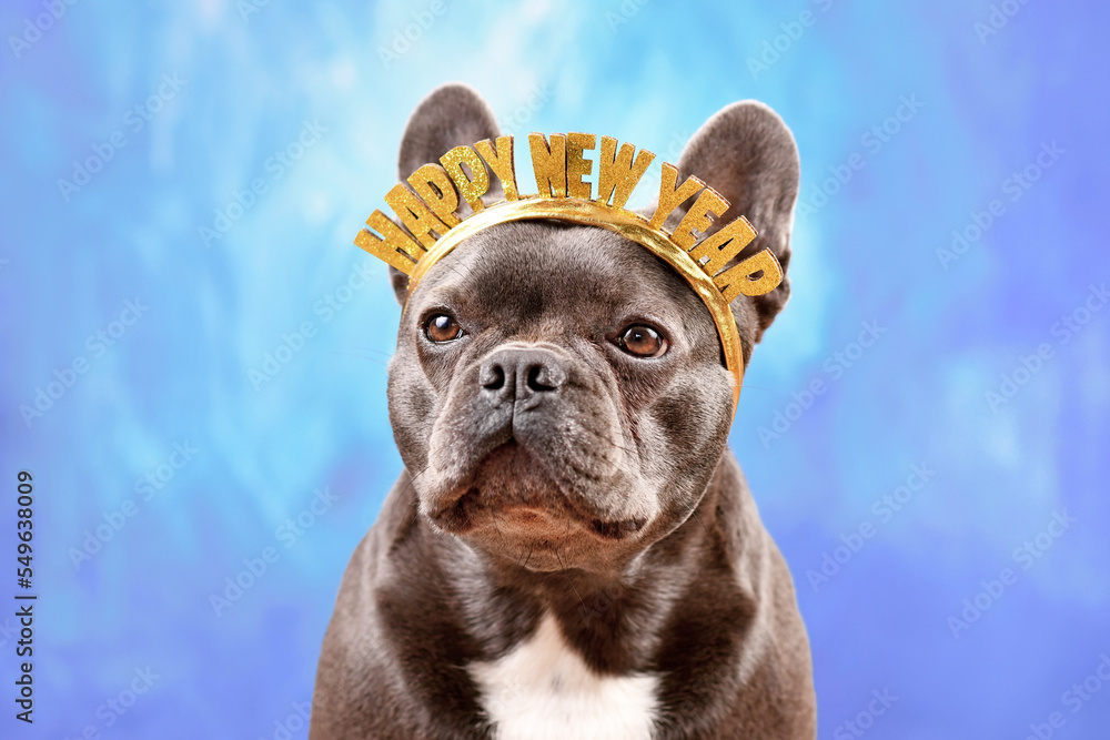 Happy new hot sale year french bulldog