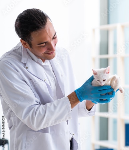 Fototapeta Naklejka Na Ścianę i Meble -  Young male doctor examining sick cat