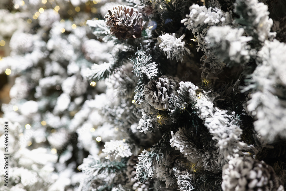 Fir branches in snow with christmas garlands closeup