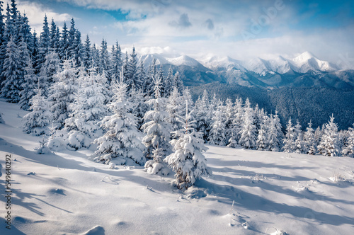 Untouched winter landscape. Extraordinary morning scene of of Carpathian mountains. Snowy mountain forest in December. Stunning landscape of mountain valley. Beauty of nature concept background. © Andrew Mayovskyy
