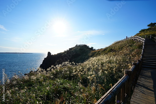 seaside walkway to cliff observatory