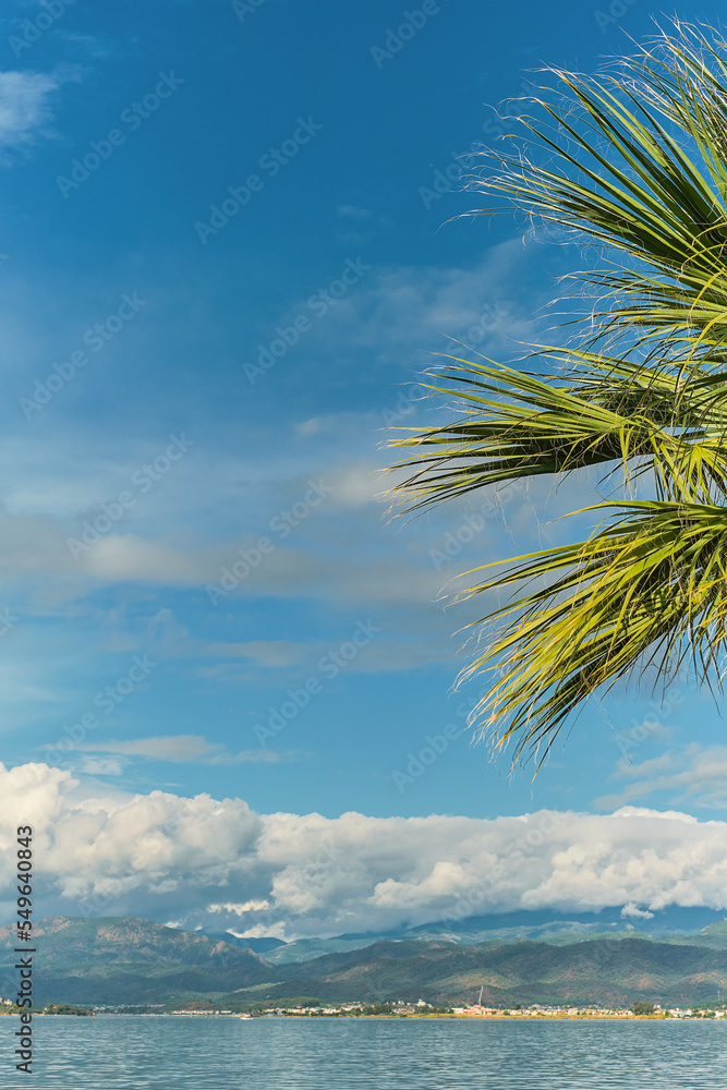 Vertical frame, focus on palm leaves. Winter afternoon view of the island of Makri and the bay from the embankment of the city, the Aegean Sea. Background idea