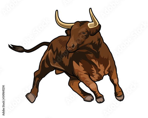 wild bull vector illustration