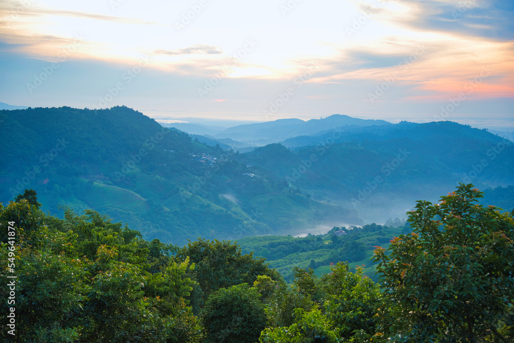 早朝の青々と茂る大自然の山間部風景　タイ・チェンライ