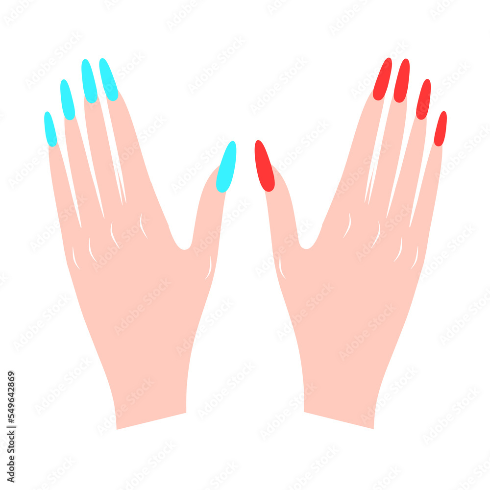 Vector illustration of two female hands with red and blue nails on a white background. Perfect for beauty, salon and whitening cream logos.