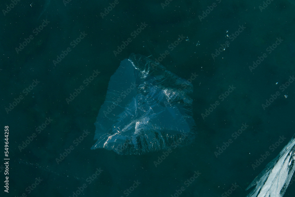 Obraz premium jellyfish in aquarium