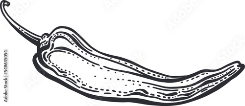 Pepper chilli hand drawn set Vector sketch Paprika
