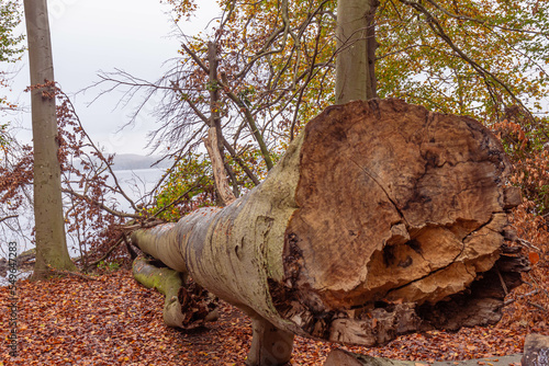 Herbstbilder