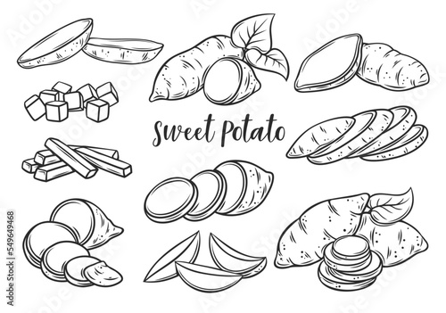 Sweet potato outline icons set vector illustration. Line hand drawn chopped yam vegetable, whole potato tuber with leaf and cut into slices and wedges, cubes and sticks, food ingredient for cooking