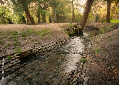 Scenic view of Kearsney Abbey Gardens with wild nature and a river in daylight in Dover, England photo