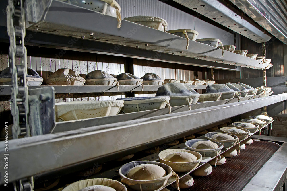 Baking bread at the bakery. Raw bread on the conveyor belt of a bakery.