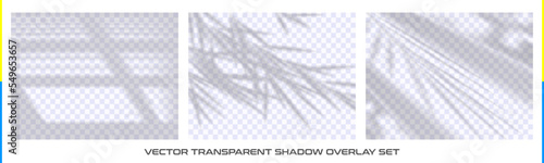Semitransparent shadow overlay effect from the window isolated on transparent background. Realistic vector set. Abstract silhouette soft blurry shadow of leaves tree branch on wall. Sun light shade