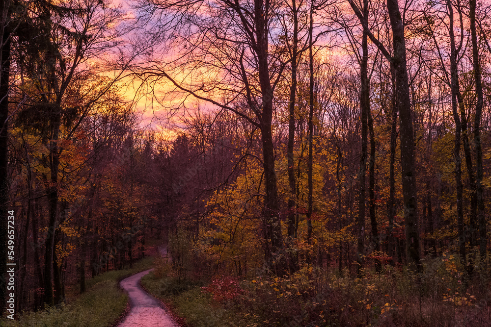 pfad im wald, herbst, dramatische wolken pfad im wald, herbst, dramatische wolken