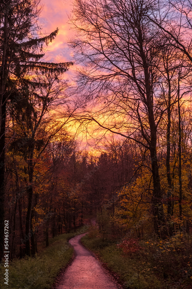 dramatische wolken über bäumen im herbst