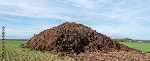 фотографія large heap of dung in belgian countryside between charlerois and brussels