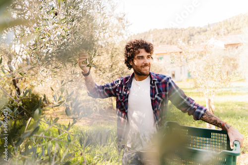 Man holding crate standing by tree in olive orchard photo