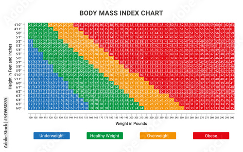 Body Mass Index (BMI) Chart. Calculate your BMI. Normal BMI. Bmi scale, check. photo