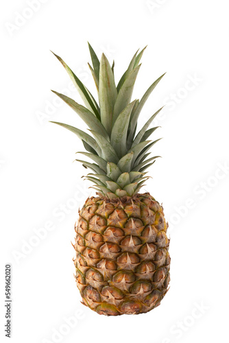 Ripe Pineapple on White
