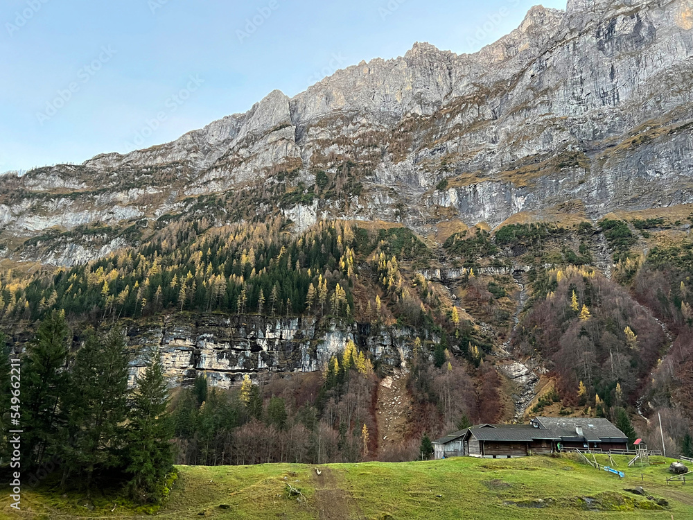 Magical late autumn colors in the mixed mountain forest at the foot of the mountains above the Taminatal river valley and in the massif of the Swiss Alps, Vättis - Canton of St. Gallen, Switzerland