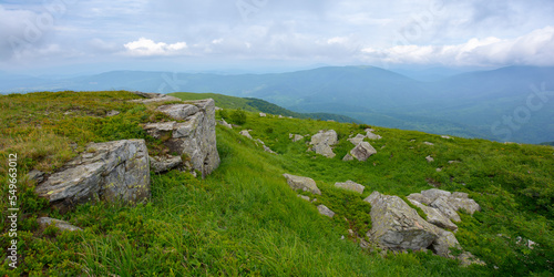 stones and boulder on the steep slope. grassy alpine meadows of carpathian countryside. mountain landscape in summer with overcast sky © Pellinni