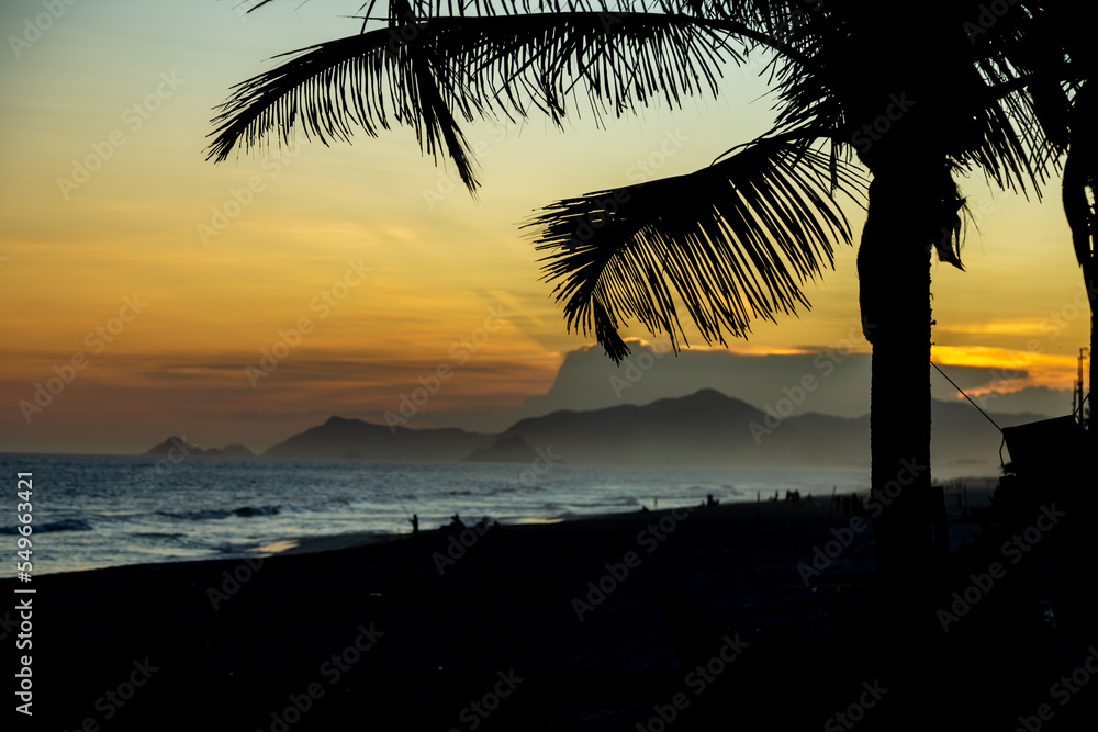 Rio de Janeiro beach at sunset. silhouettes of palm trees