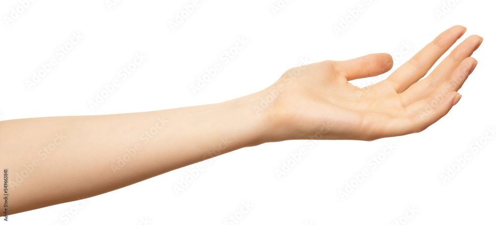 Female outstretched hand with open empty palm up isolated on white. Hand palm up to show or receive objects