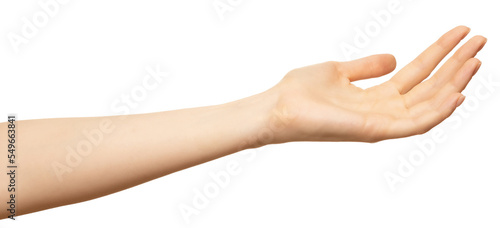 Female outstretched hand with open empty palm up isolated on white. Hand palm up to show or receive objects © Dzha
