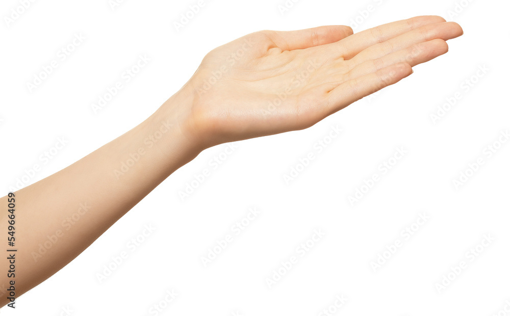 Empty female woman hand presenting object isolated on white