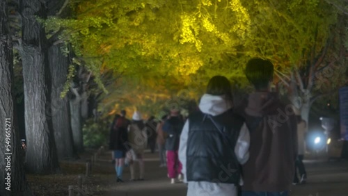 Wallpaper Mural People enjoying the illumination of ginkgo trees at night Torontodigital.ca