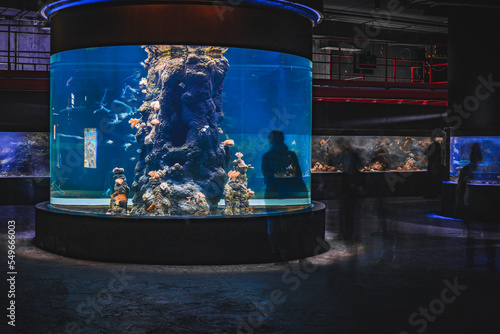 The glass of a huge aquarium with people watching 