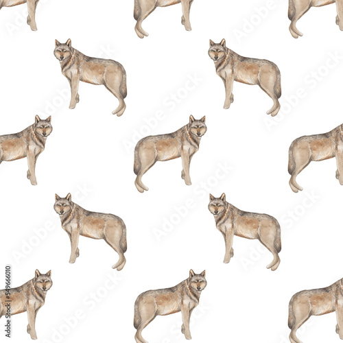 Pattern of colored hand drawn sketch wolf isolated on white background © Makarova Art