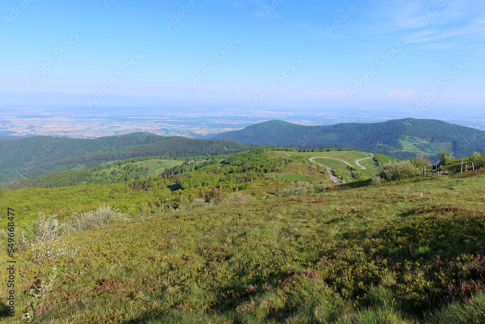 Fototapeta premium Le Grand Ballon - Massif des Vosges