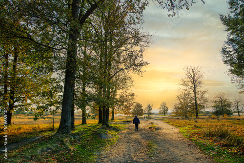 Hikers on a sandy path in the Aekingerzand landscape, part of the Drents-Friese Wold National Park, with warm tones of autumn colors and the light of the setting sun in a romantic atmosphere