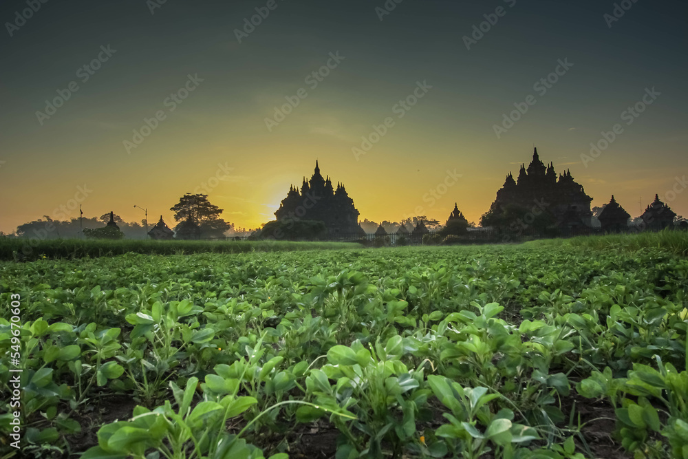 Landscape photo of Plaosan Lor Temple at dawn in Klaten, Central Java, Indonesia. One of the ancient Buddhist temples that is quite large and famous. Candi Plaosan Lor.