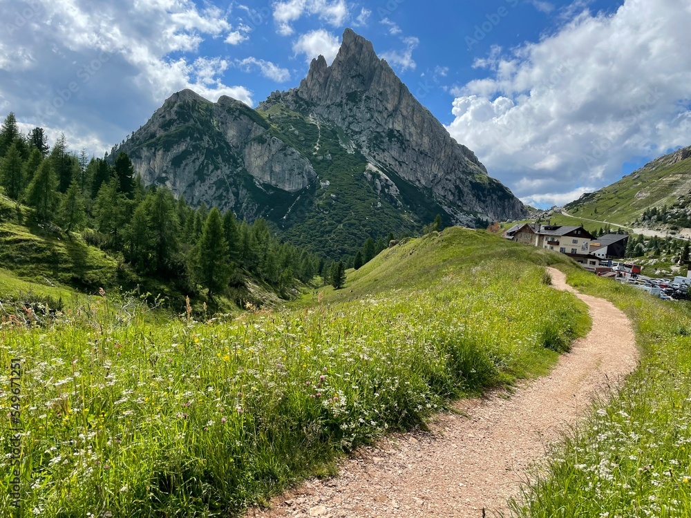 Fototapeta premium landscape in the mountains